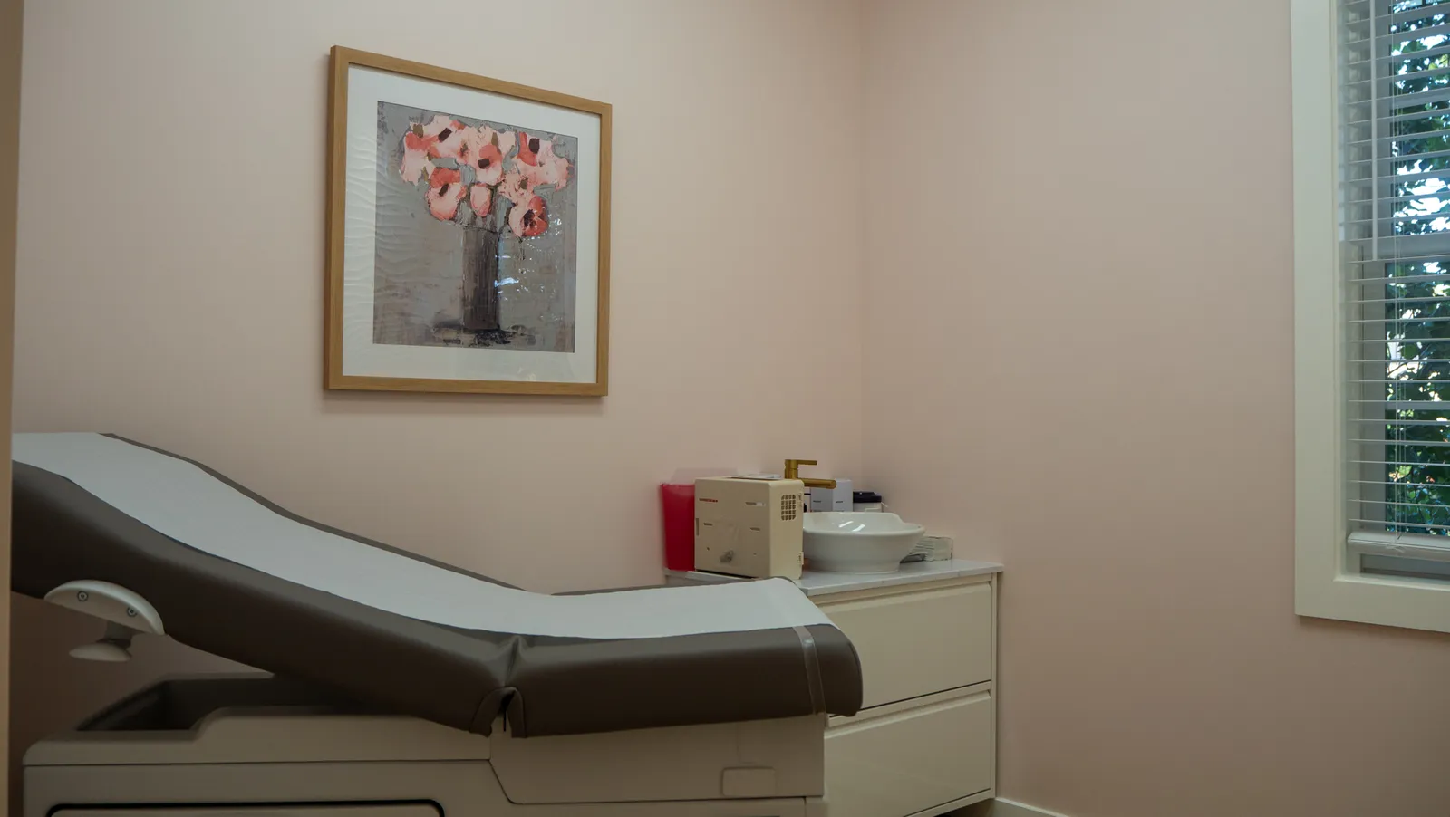 Anna Health Woodbridge consultation room