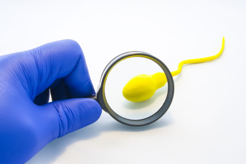 Choosing the Best Infertility Specialist in Fairfax, VA: What to Look For and Why It Matters cover image