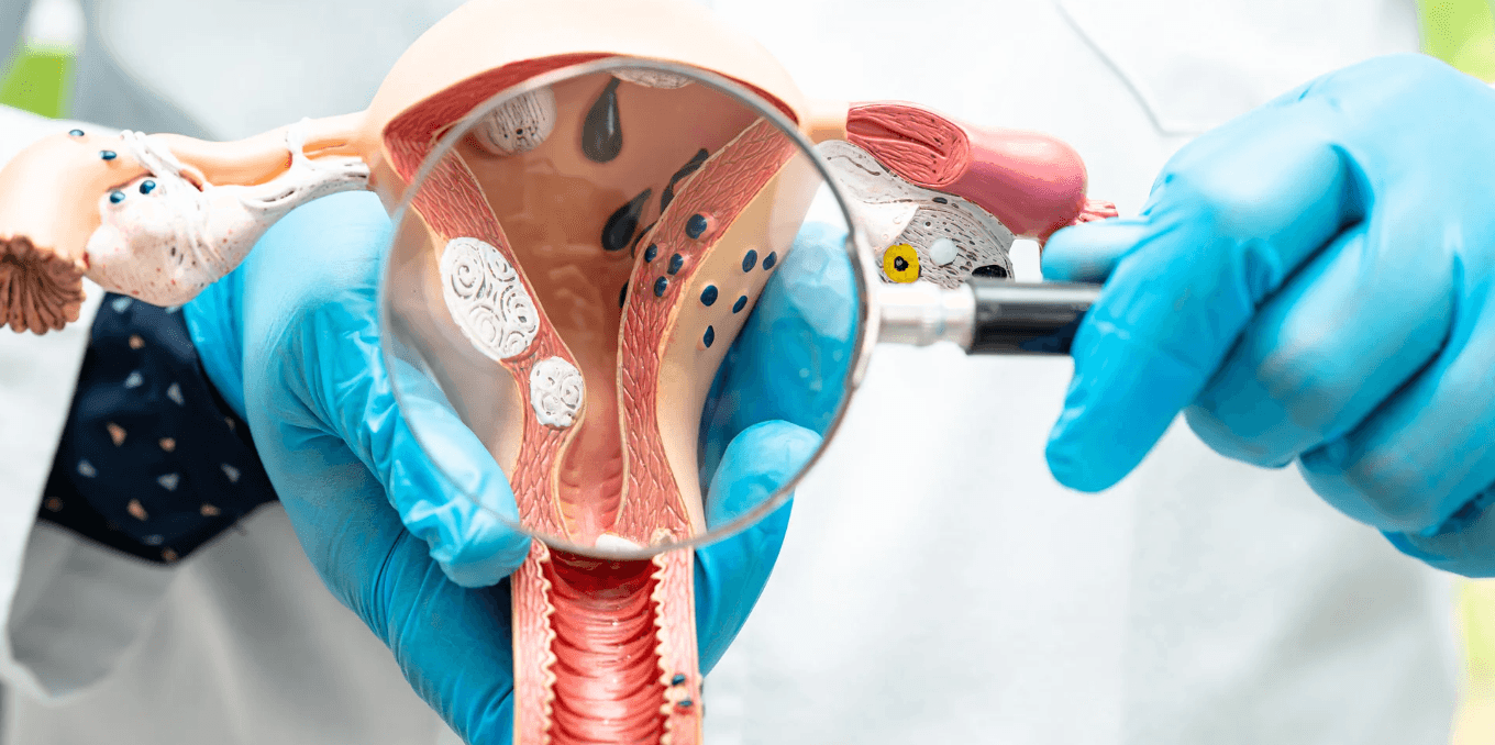 Fertility Consultation: What to Expect at Your First Appointment cover image