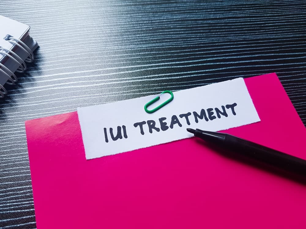 folder labeled for IUI in Ashburn