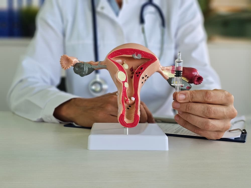 Your Guide to Ovarian Stimulation During IVF in Fairfax, Virginia cover image