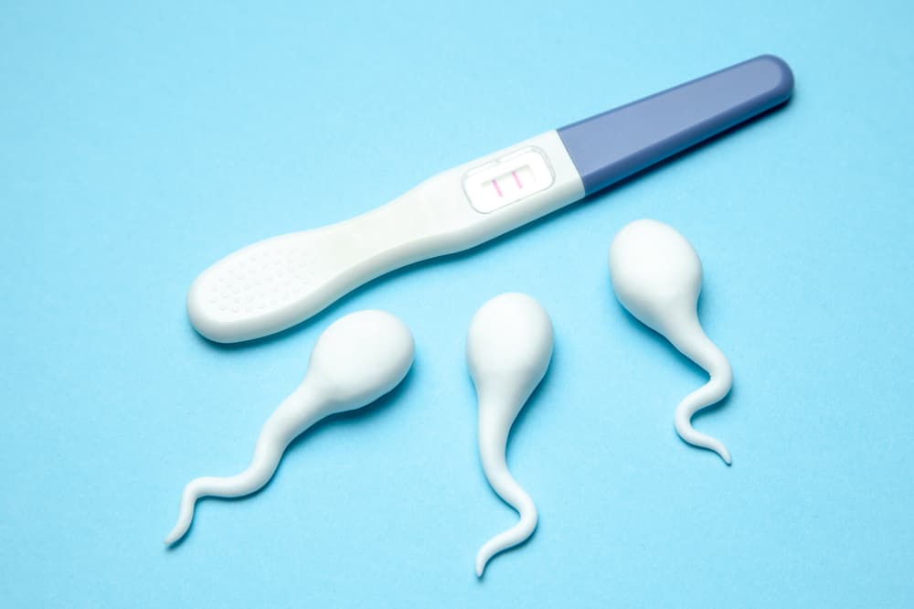 Comprehensive Infertility Semen Analysis Services Available in Fairfax County, Virginia: What to Expect cover image
