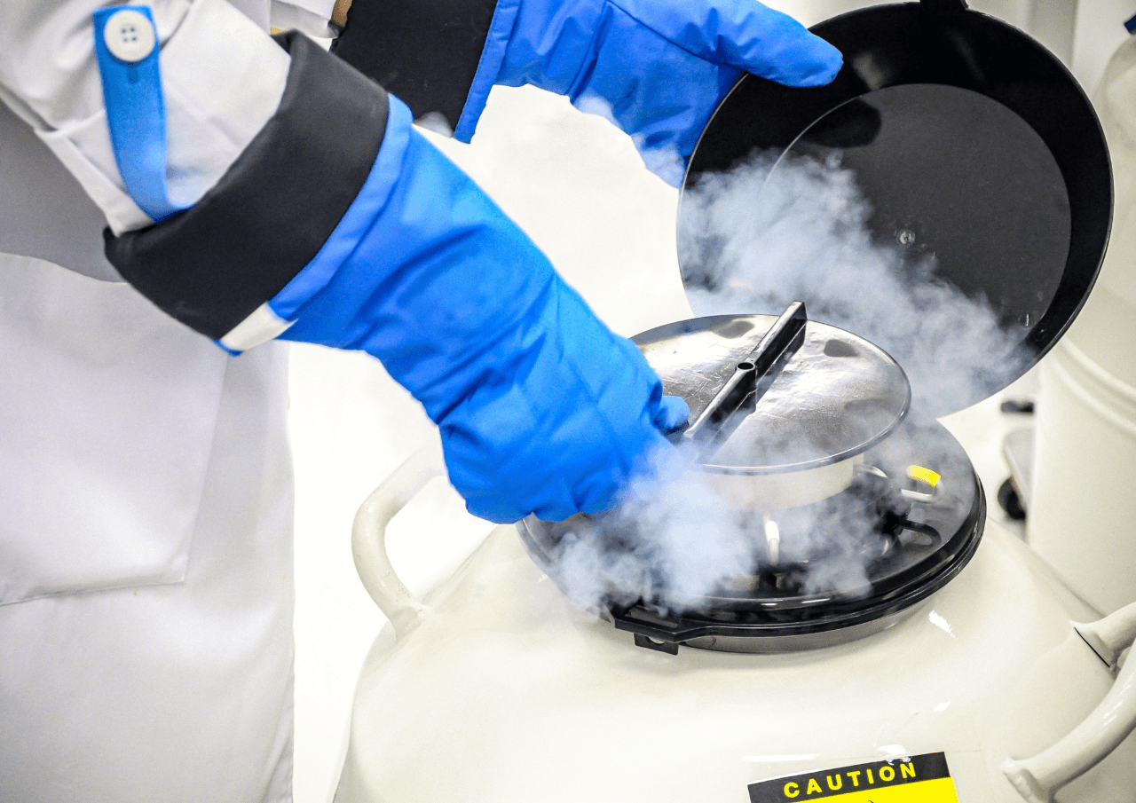 A Complete Guide to Sperm Freezing in Fairfax County cover image